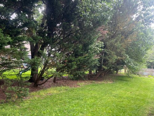  for Arundel Lawn Maintenance in Arnold, MD
