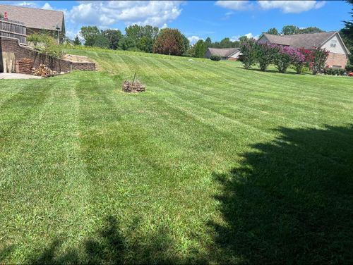 All Photos for The Yard Barbers in Somerset, KY