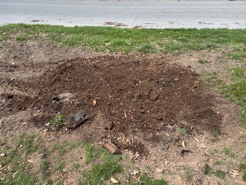 Stump Removal for Conrad's Stump Removal in Columbus, IN
