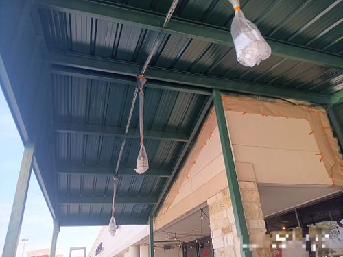  for Eagle Five Stars Painting in Brazos Valley, TX