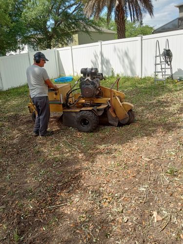 All Photos for A Southern Style Tree Service in Orlando, FL