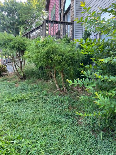  for Fescue 911 in Ashland City, TN