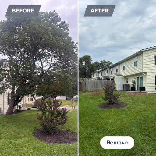  for Mountainside Property Services LLC in Warrenton, VA