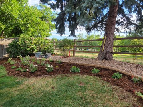 for JS Landscaping Colorado in Denver, CO