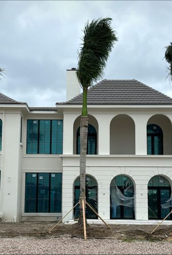 All Photos for Bridgewater Arbor Care LLC in Jupiter, FL