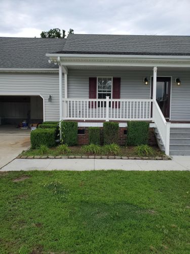 Hedge Work for Heroy's Lawn Services in Jacksonville, North Carolina