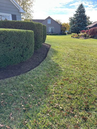 Shrub Trimming for OT Lawn and Landscaping LLC in Carey, OH