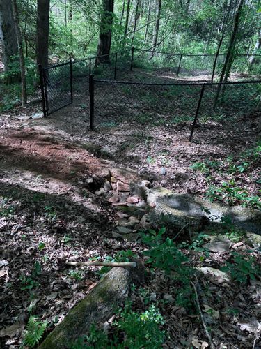 Chainlink Fences for Alpine Fence in Dahlonega, GA