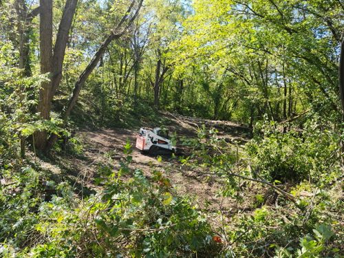 Land Clearing & Demolition for BDS Trucking & Excavating in Litchfield, IL