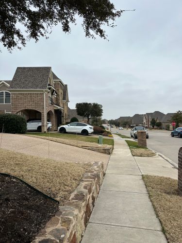 Structural Pruning for Guerrero's Landscape in Fort Worth,  TX