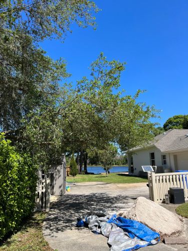 Tree Trimming for Verimay's Garden and Landscaping in Hillsborough County, FL