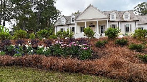  for Amis Lawn and Landscape, LLC in Clinton, MS