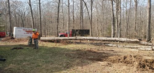 Tree Removal for W D Giampa Lawns and Landscape Inc. in Manassas, VA