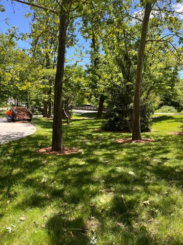 Lawn Maintenance for Finest Lawn N Landscape in Springfield, IL