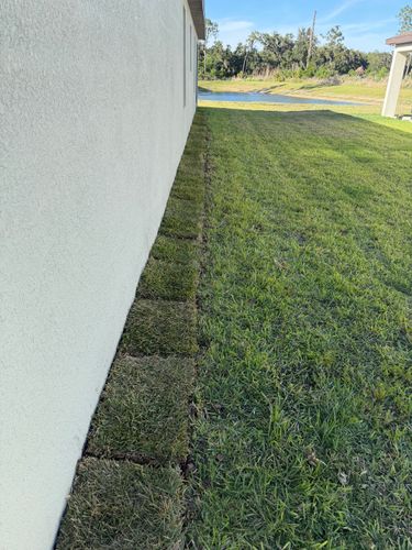 Landscape Design for The Yardman in Tampa, FL