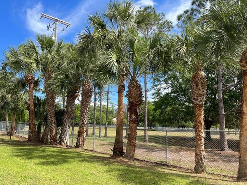 Tree Trimming for Verimay's Garden and Landscaping in Hillsborough County, FL