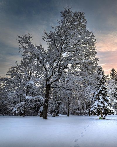 for Oakwood Tree Removal LLC in Oak Creek,  WI