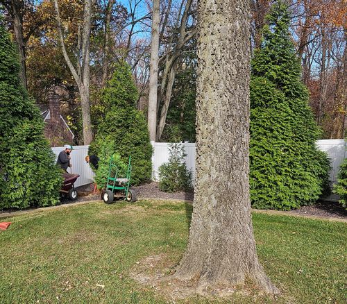 Landscape Maintenance, Softscaping, and Hardscaping for The Grass Guys Complete Lawn Care LLC. in Evansville, IN