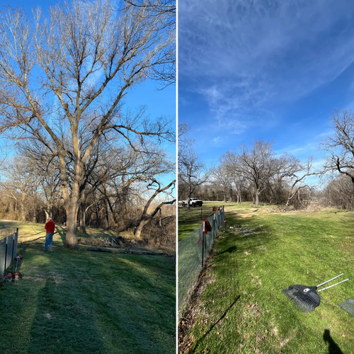  for Marks Tree Service in Fort Worth, TX