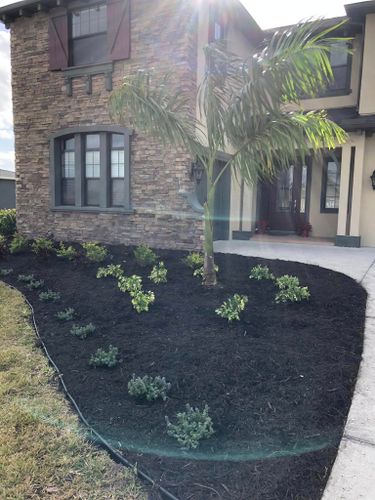Mulch Installation for MJK Landscaping LLC in Wesley Chapel, FL