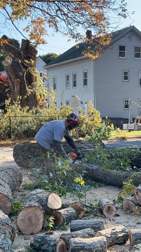 Tree Removal for G&M Property Service in Attleboro, MA