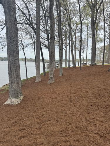 Mulch Installation for Rosales Landscaping LLC in Lake Gaston, North Carolina