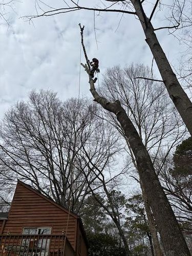 All Photos for Pinedown LLC in Cherokee County, GA