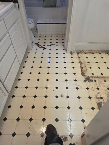 All Photos for First Nation Flooring in Sacramento, CA