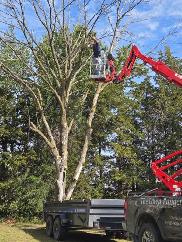  for Lawn Ranger Yard And Tree Service LLC in Ottumwa, IA