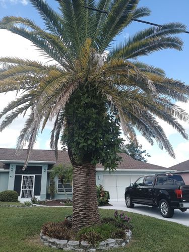 Flowerbed Installation and Maintenance for Unity Maintenance and More LLC in Englewood, FL