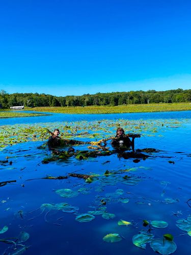 Scuba Weed Removal for JT’s Underwater Landscaping in Brainerd, MN