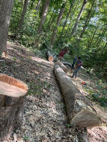 Tree Removal for Rosales Landscaping LLC in Lake Gaston, North Carolina