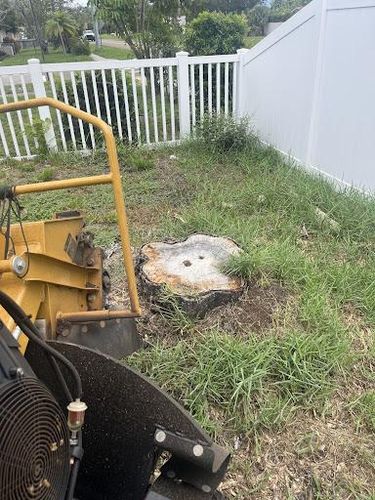  for KB’s Stump Removal in Seminole, FL