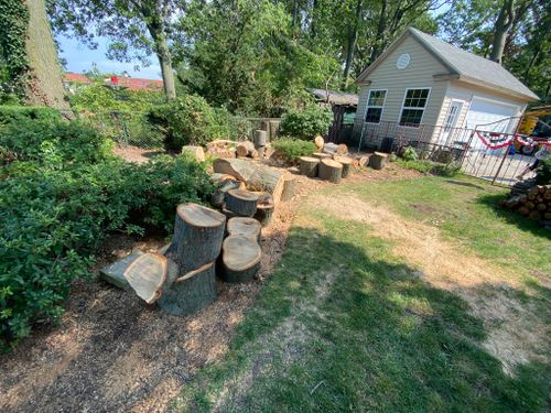 Tree Removal for Down To Earth Tree Service, LLC in Olmsted Falls, OH