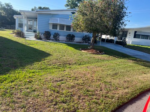 All Photos for A&D Lawn Care of Lakeland in Lakeland, FL