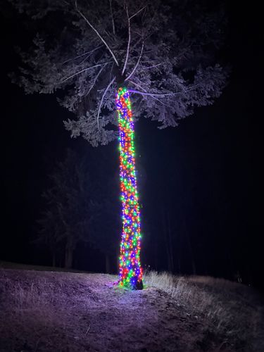 All Photos for Swift Serve in Coeur d'Alene, ID