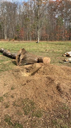 Other Services for Gray’s Tree Service Inc in Maurertown, VA