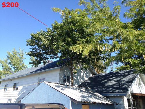  for IOL TREE EXPERTS in Spokane Valley, WA