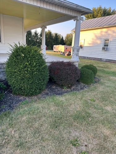Shrub Trimming for OT Lawn and Landscaping LLC in Carey, OH