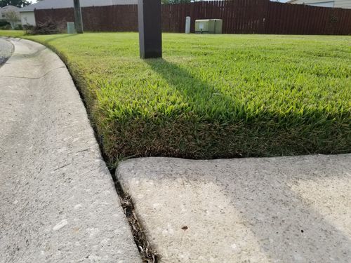 Lawn Care for V Man Services LLC in Asbury Lake, FL