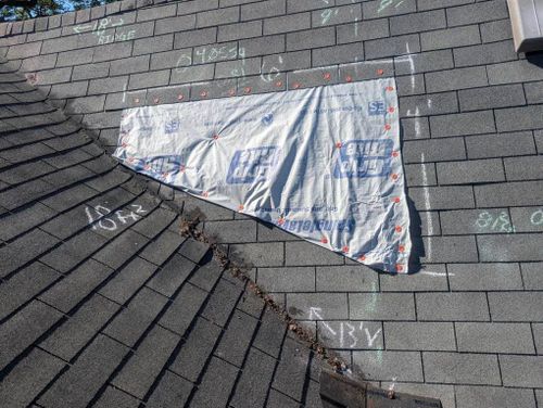  for Super Roofers in Dyersburg, TN