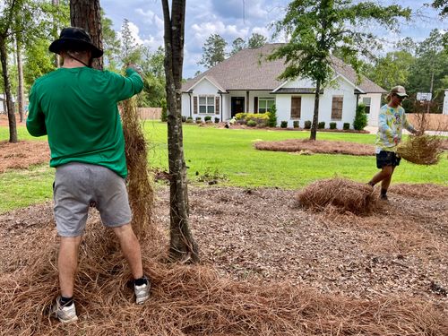 Fall Clean Up for All-Star Lawn Care & Soft Washing in Mobile, AL