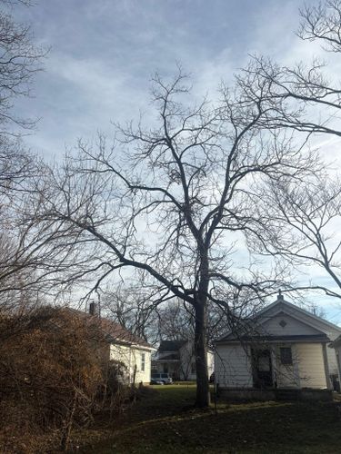  for Dig-It Tree Company in Mason, OH