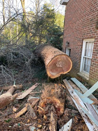  for Bulldawg Disaster Response in Atlanta, GA