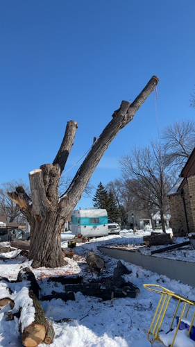 Tree Removal for K and Z Tree Care in Isanti County, MN