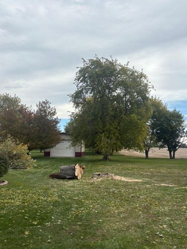  for Dig-It Tree Company in , 