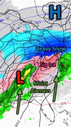  for Tony Monaco Landscaping Inc. in Orange County, NY