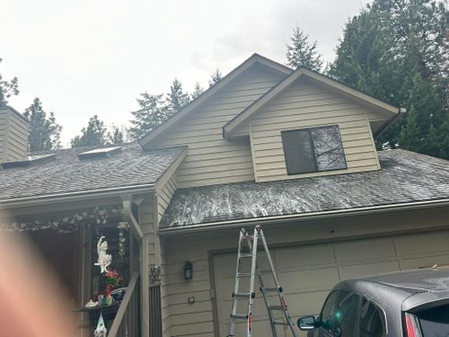 Roof Cleaning for Quality Exterior Upkeep in Spokane, WA