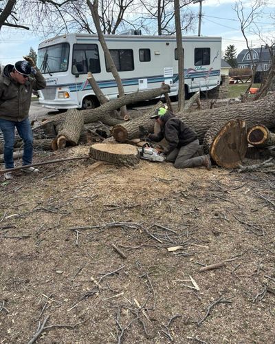  for Oakwood Tree Removal LLC in Oak Creek,  WI
