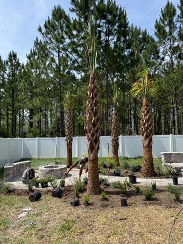 Landscaping Installation & Design for Pro Designs Landscaping in Jacksonville, FL
